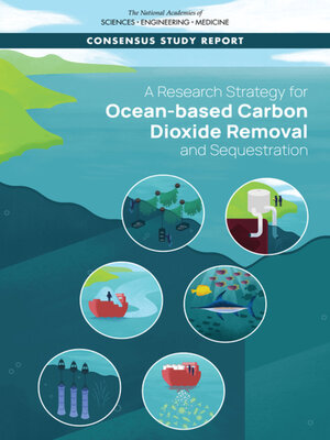 cover image of A Research Strategy for Ocean-based Carbon Dioxide Removal and Sequestration